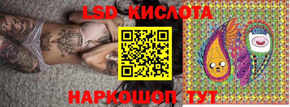 Наркотические марки 1500мкг  Наркотические марки 1500мкг  Вход с VPN  Шелехов 