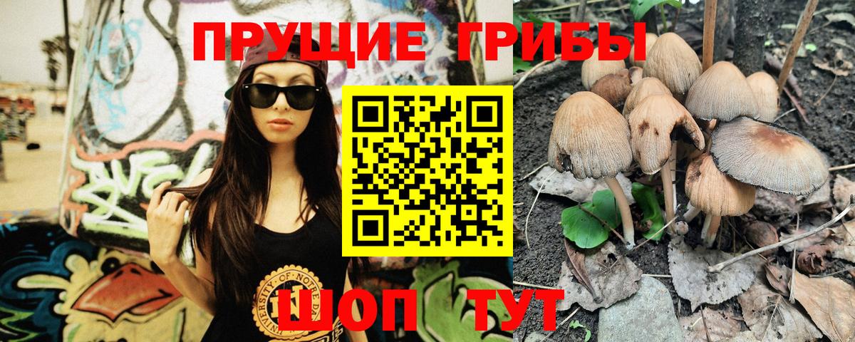 Шелехов  Псилоцибиновые грибы Cubensis  Вход с VPN 
