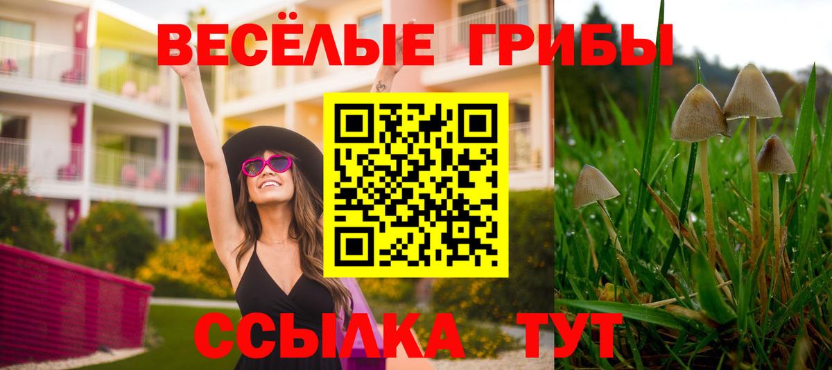Галлюциногенные грибы мицелий Шелехов